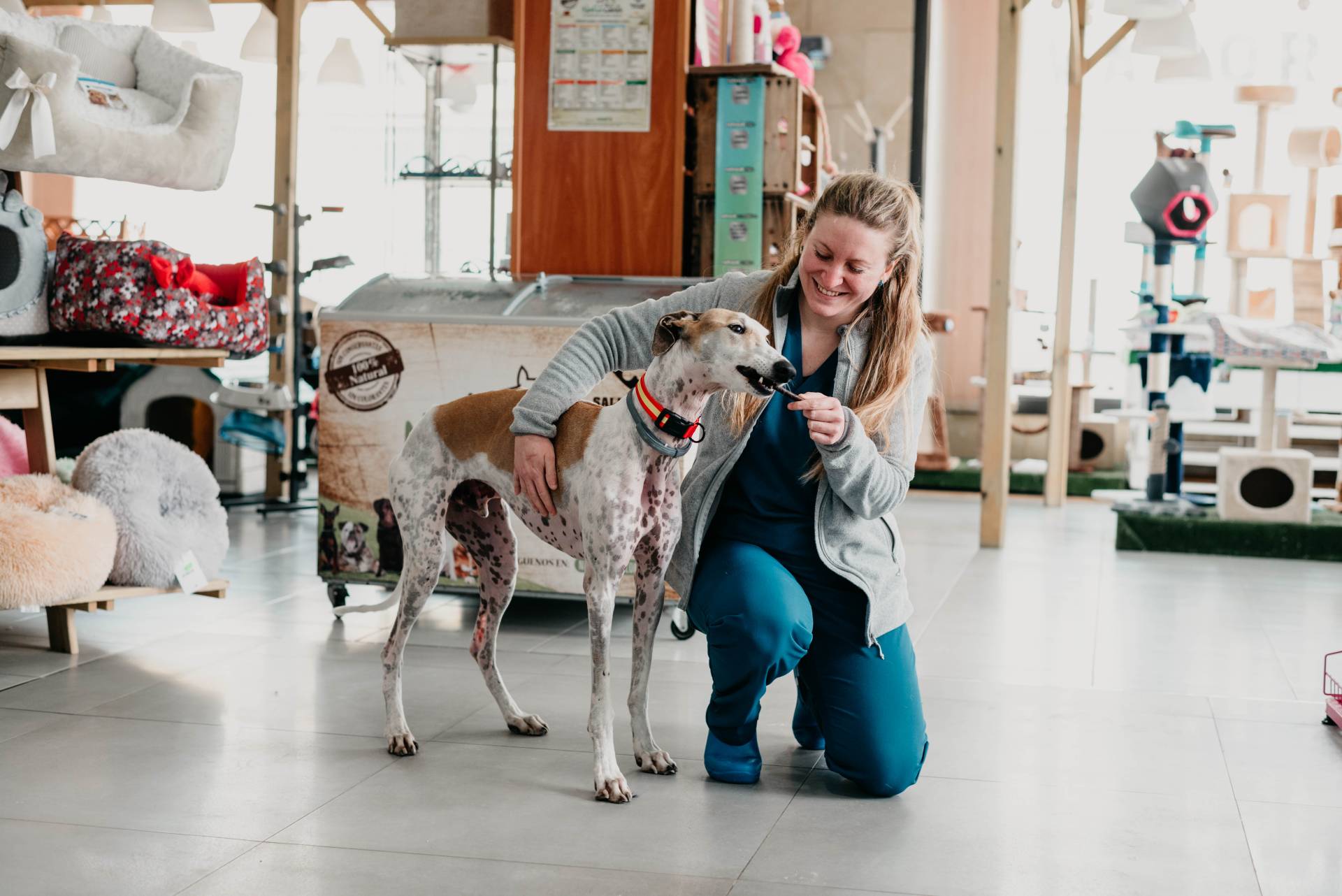 veterinarios de urgencias españa