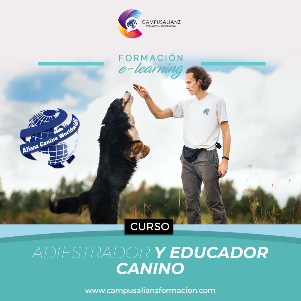 formación con cualificación profesional. centros en toda España