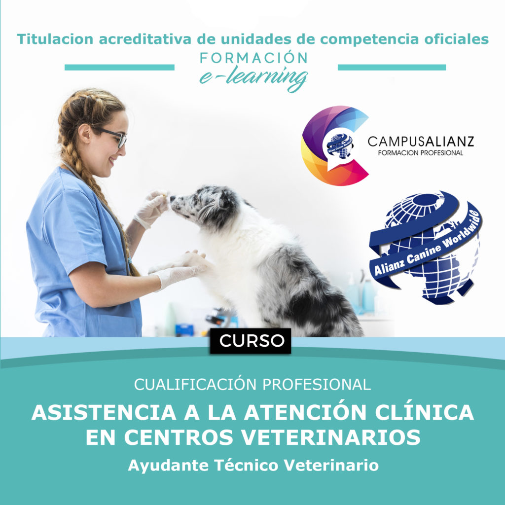 Formación con cualificación profesional
