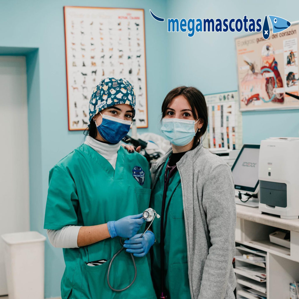 Asesoramiento veterinario Megamascotas en Molina de Segura Murcia