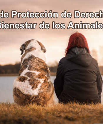nueva ley de bienestar animal