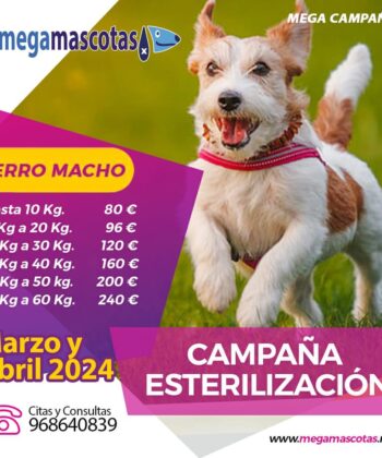 CAMPAÑA ESTERILIZACIÓN