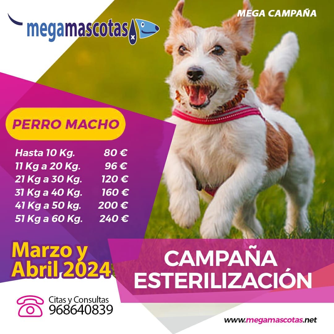 CAMPAÑA ESTERILIZACIÓN MARZO Y ABRIL 2024