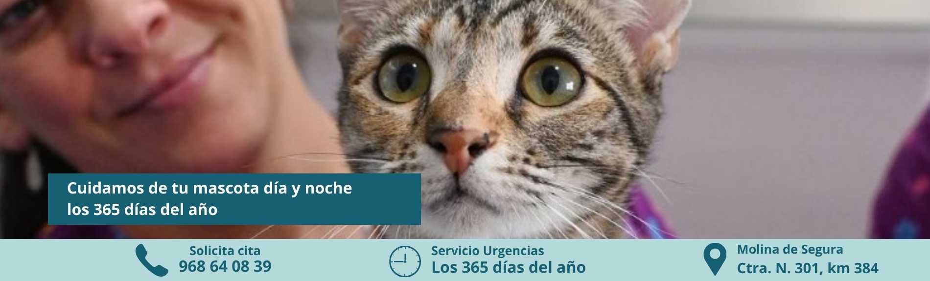 Clínica veterinaria cuidamos de tu mascota día y noche - Megamascotas Molina de Segura