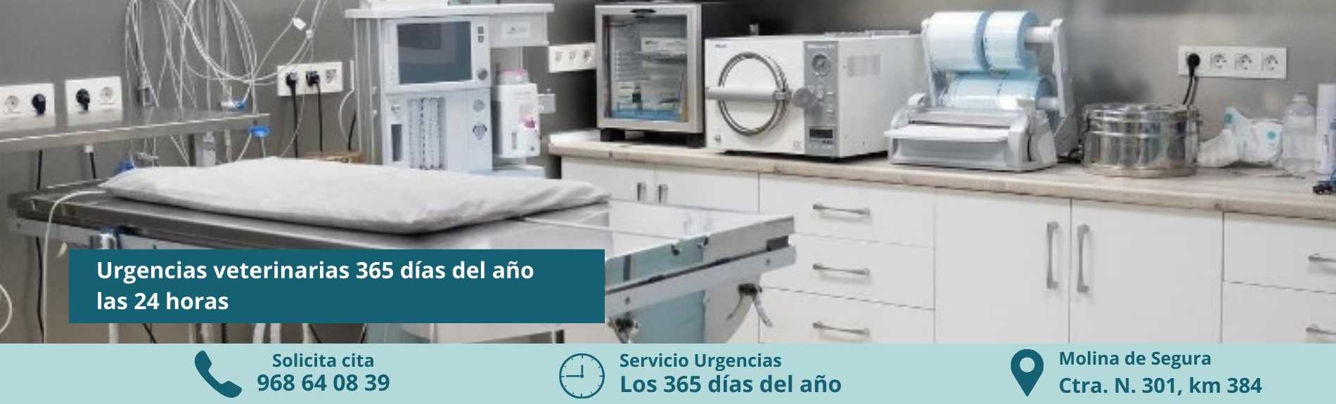 Urgencias veterinarias 24_7 en Molina de Segura - Megamascotas Murcia