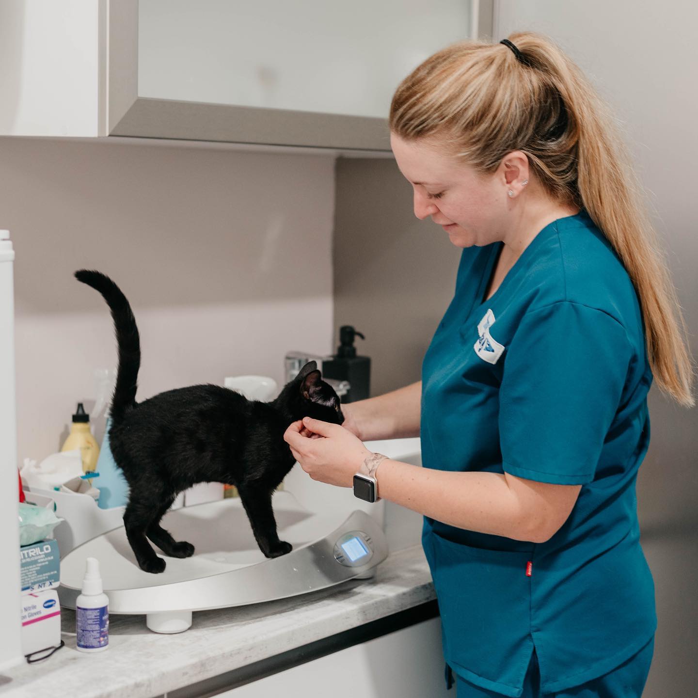 LA MEJOR CLÍNICA VETERINARIA DE MURCIA 24H