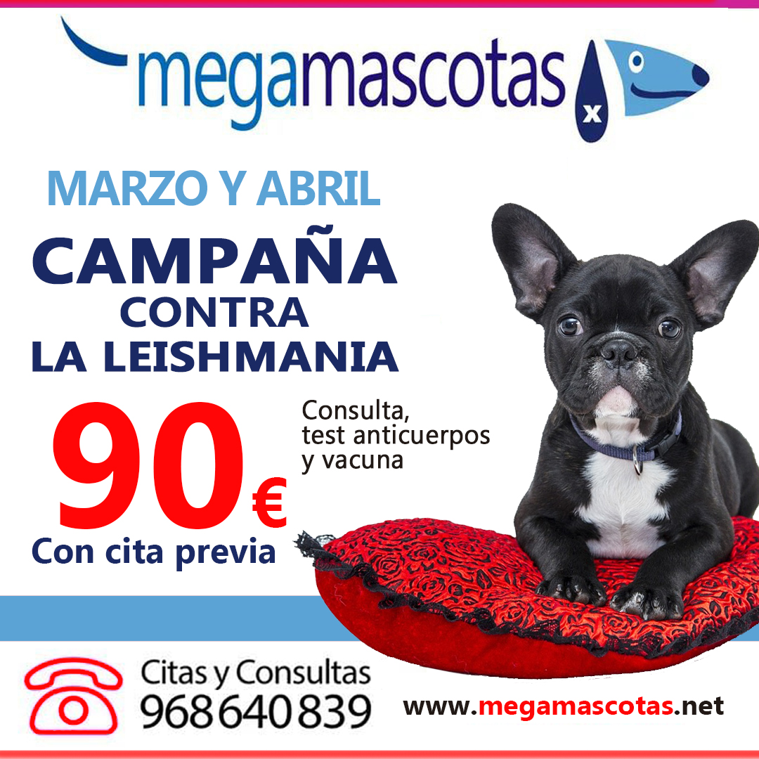 Clínica veterinaria Megamascotas contra la Leishmaniosis