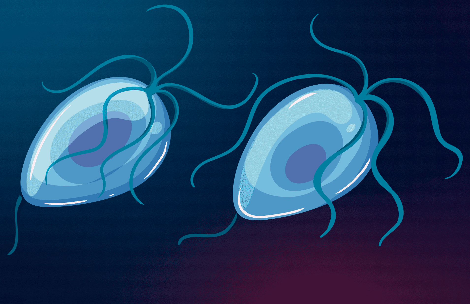 Giardia en perros: síntomas, tratamiento y prevención